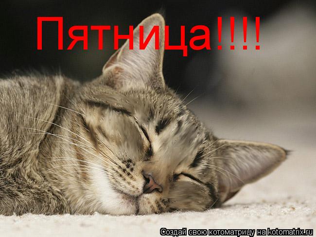 Котоматрица: Пятница!!!!