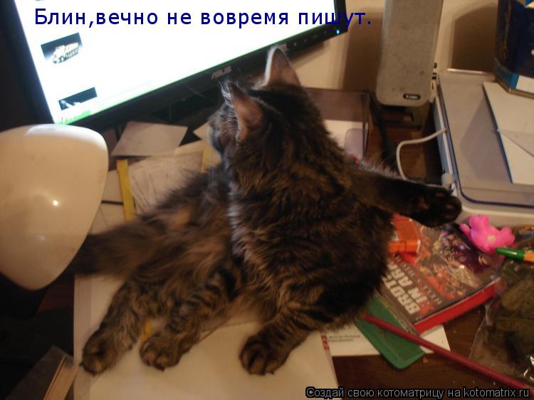 Котоматрица: Блин,вечно не вовремя пишут.