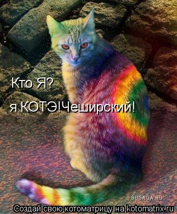 Котоматрица: Кто Я? я КОТЭ!Чеширский!