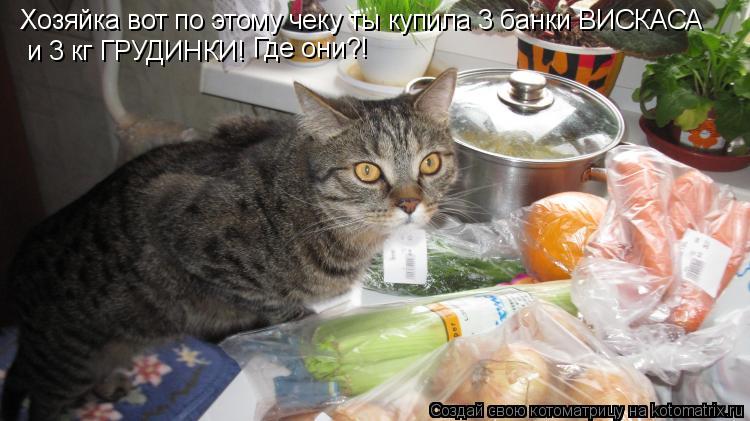Котоматрица: Хозяйка вот по этому чеку ты купила 3 банки ВИСКАСА  и 3 кг ГРУДИНКИ! Где они?!