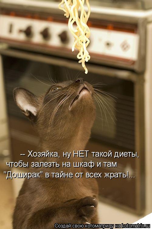 Котоматрица: -- Хозяйка, ну НЕТ такой диеты,  чтобы залезть на шкаф и там "Доширак" в тайне от всех жрать!...