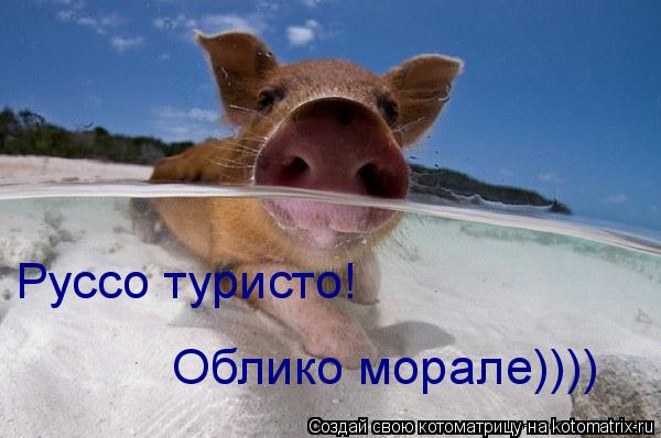 Котоматрица: Руссо туристо! Облико морале))))