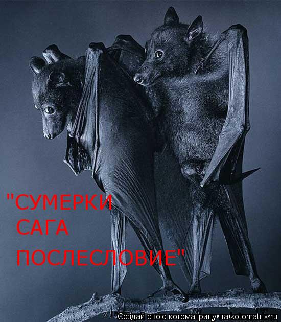 Котоматрица: "СУМЕРКИ САГА ПОСЛЕСЛОВИЕ"