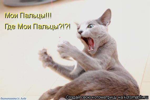 Котоматрица: Мои Пальцы!!! Где Мои Пальцы?!?!