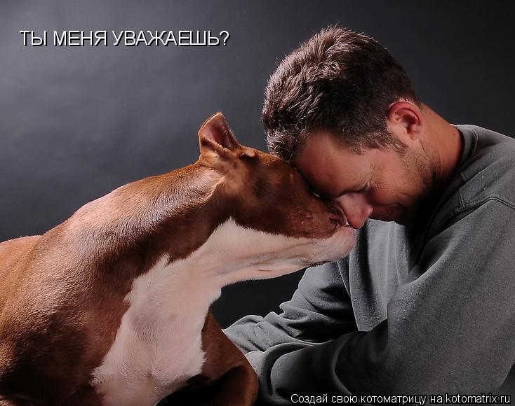 Котоматрица: ТЫ МЕНЯ УВАЖАЕШЬ?