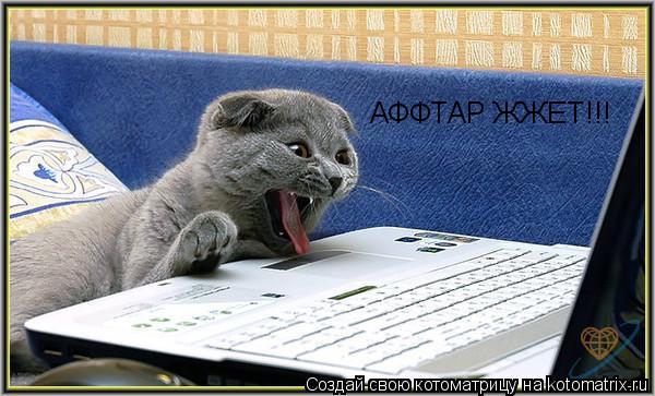 Котоматрица: АФФТАР ЖЖЕТ!!!