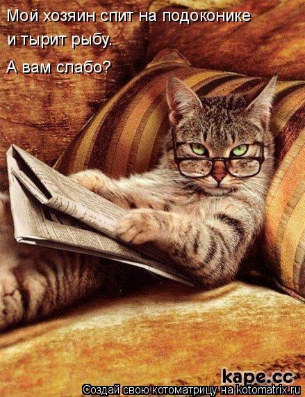 Котоматрица: Мой хозяин спит на подоконике и тырит рыбу. А вам слабо?