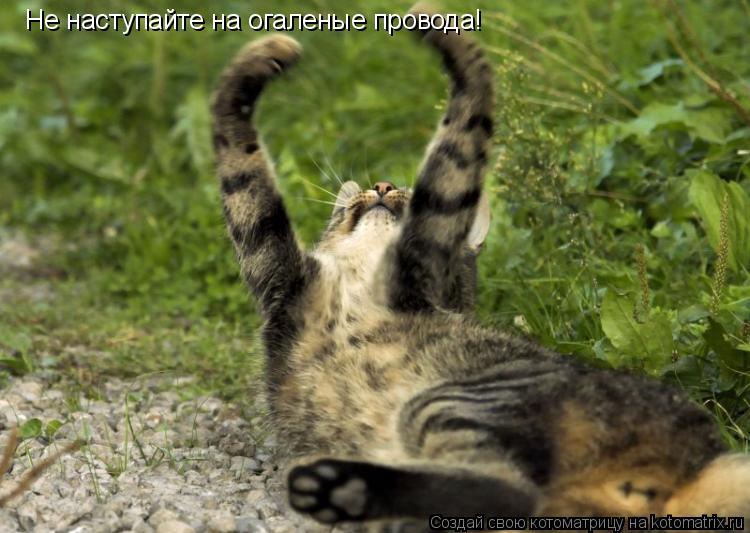 Не наступайте на огаленые провода!... Котоматрица: Не наступайте на огаленые провода!