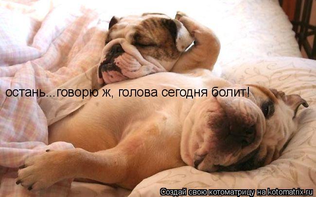 остань...говорю ж, голова сегодня болит!... Котоматрица: остань...говорю ж, голова сегодня болит!