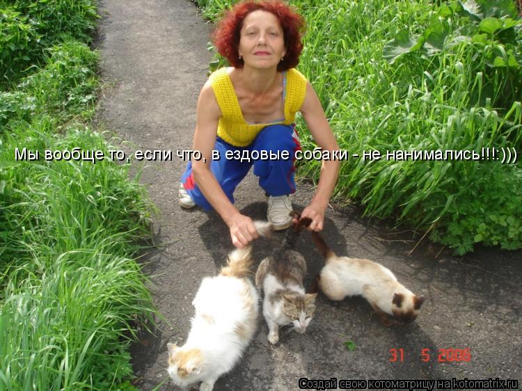 Мы вообще то, если что, в ездовые собаки - не нанимались!!!:)))... Котоматрица: Мы вообще то, если что, в ездовые собаки - не нанимались!!!:)))