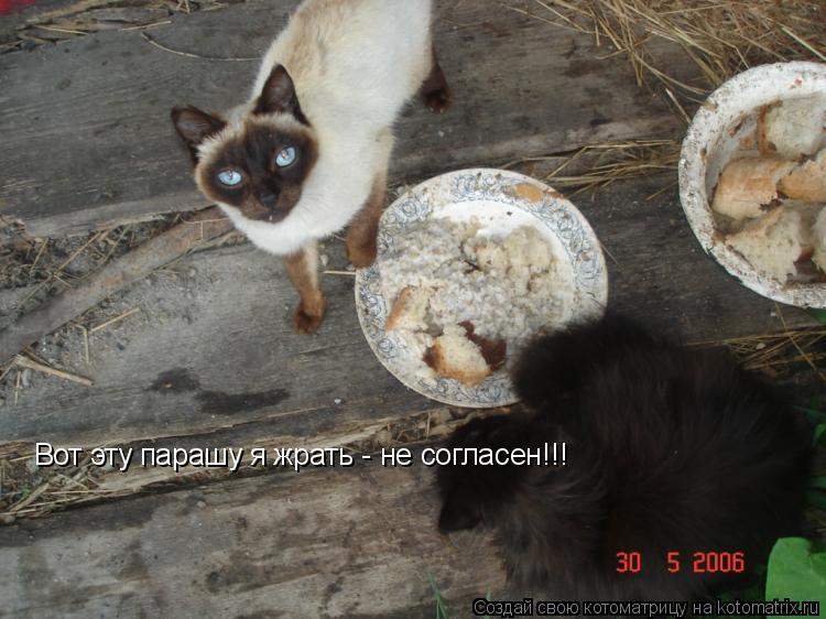 Вот эту парашу я жрать - не согласен!!!... Котоматрица: Вот эту парашу я жрать - не согласен!!!