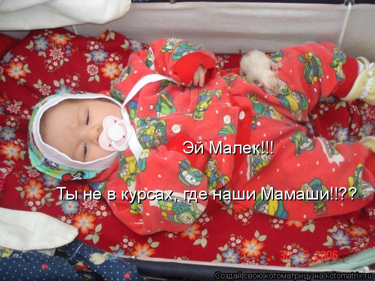Эй Малек!!! Ты не в курсах, где наши Мамаши!!??... Котоматрица: Эй Малек!!! Ты не в курсах, где наши Мамаши!!??