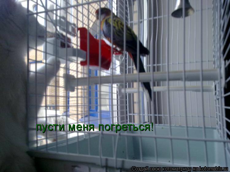 пусти меня погреться!... Котоматрица: пусти меня погреться!