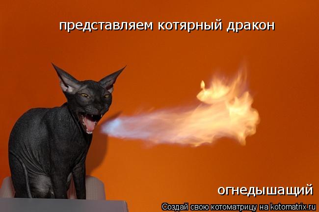 Котоматрица: представляем котярный дракон огнедышащий