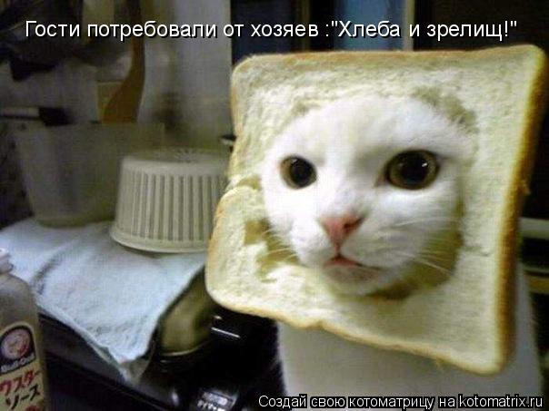 Котоматрица: Гости потребовали от хозяев :"Хлеба и зрелищ!"