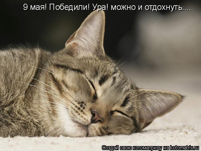 9 мая! Победили! Ура! можно и отдохнуть....... Котоматрица: 9 мая! Победили! Ура! можно и отдохнуть....