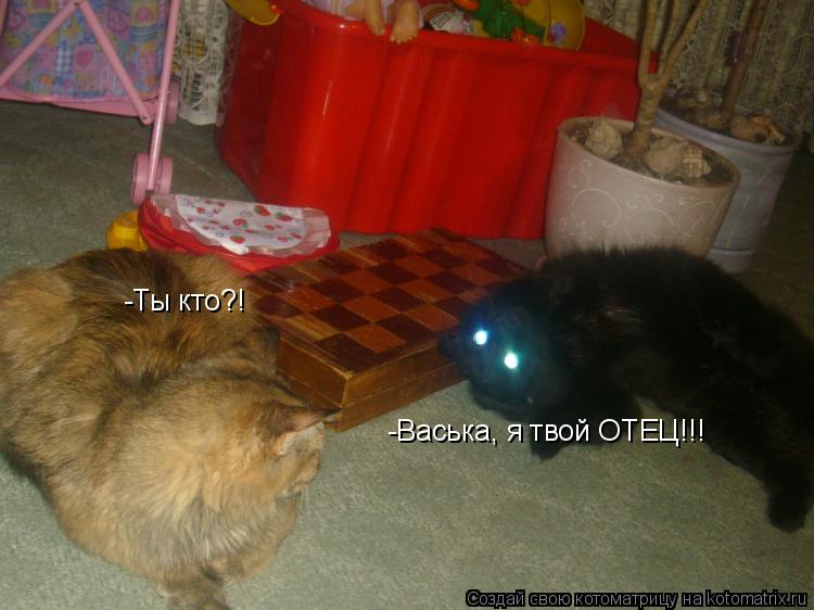 Котоматрица: -Ты кто?! -Васька, я твой ОТЕЦ!!!