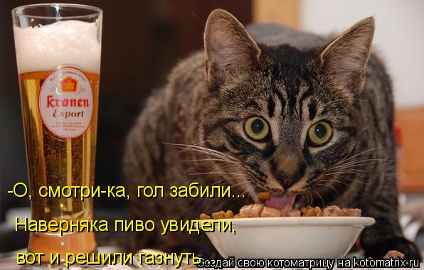 -О, смотри-ка, гол забили... Наверняка пиво увидели, вот и решили газнуть...... Котоматрица: -О, смотри-ка, гол забили... Наверняка пиво увидели, вот и решили газнуть...