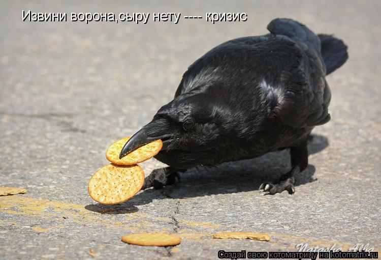 Котоматрица: Извини ворона,сыру нету ---- кризис