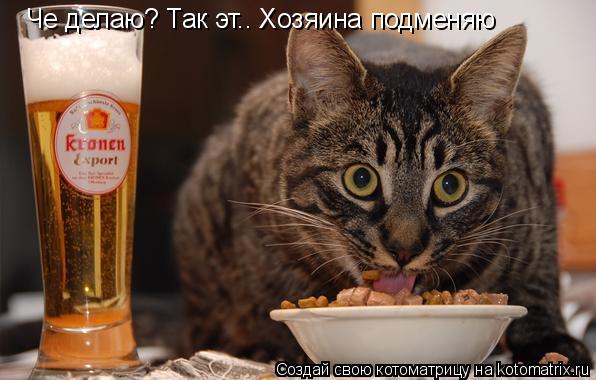 Котоматрица: Че делаю? Так эт.. Хозяина подменяю