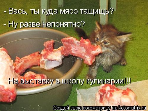 Котоматрица: - Вась, ты куда мясо тащищь? - Ну разве непонятно?  На выставку в школу кулинарии!!!