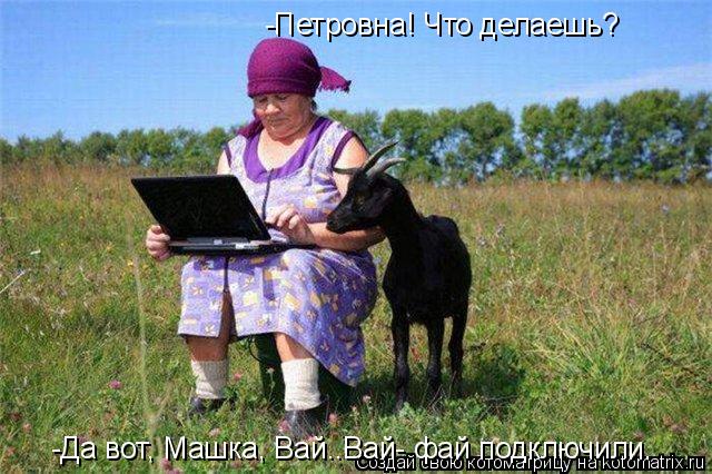 Котоматрица: -Петровна! Что делаешь? -Да вот, Машка, Вай..Вай- фай подключили.