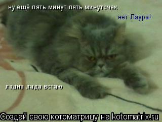Котоматрица: ну ещё пять минут пять минуточек нет Лаура! ладна лада встаю