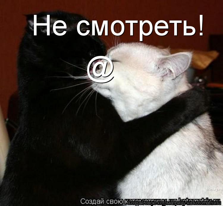 @ Не смотреть!... Котоматрица: @ Не смотреть!