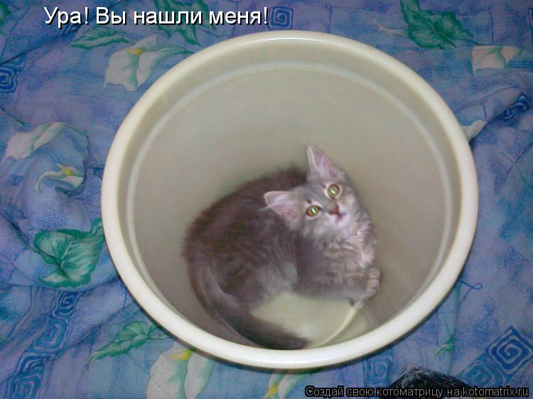 Ура! Вы нашли меня!... Котоматрица: Ура! Вы нашли меня!