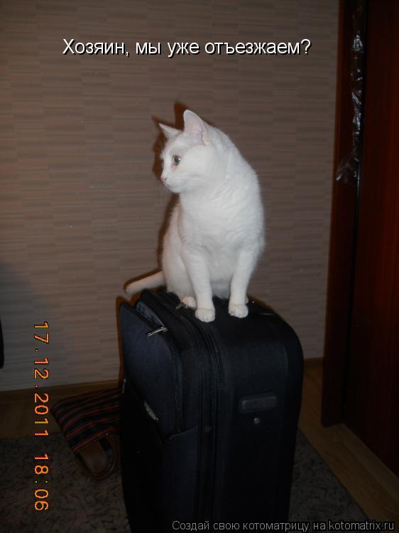 Хозяин, мы уже отъезжаем?... Котоматрица: Хозяин, мы уже отъезжаем?