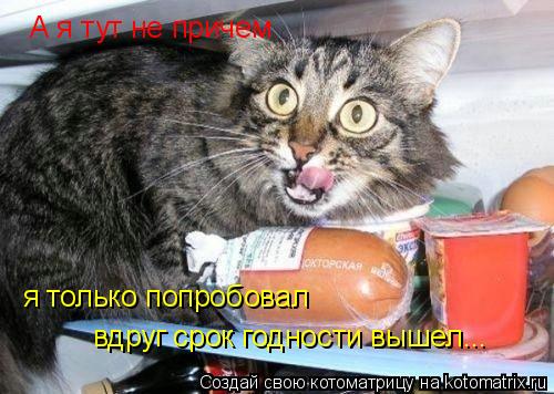 А я тут не причем я только попробовал вдруг срок годности вышел...... Котоматрица: А я тут не причем я только попробовал вдруг срок годности вышел...