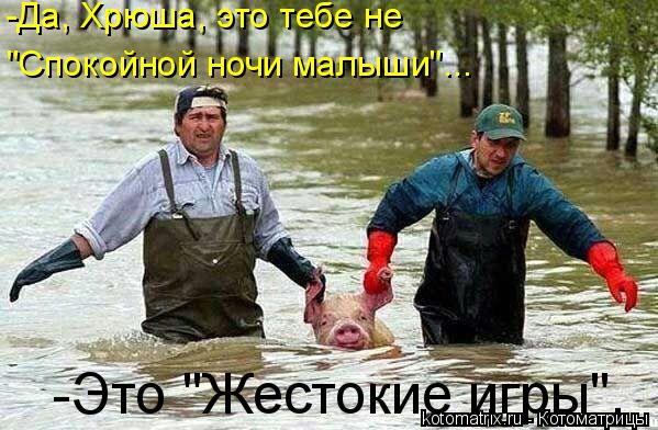 -Да, Хрюша, это тебе не "Спокойной ночи малыши"... -Это "Жестокие игры".... Котоматрица: -Да, Хрюша, это тебе не "Спокойной ночи малыши"... -Это "Жестокие игры".