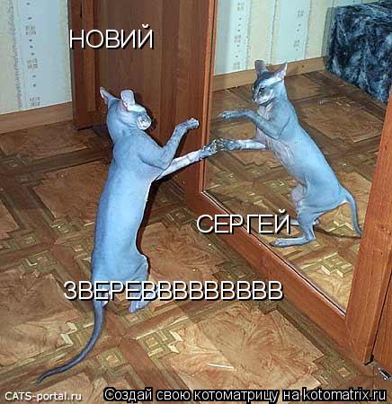 Котоматрица: НОВИЙ СЕРГЕЙ ЗВЕРЕВВВВВВВВВ