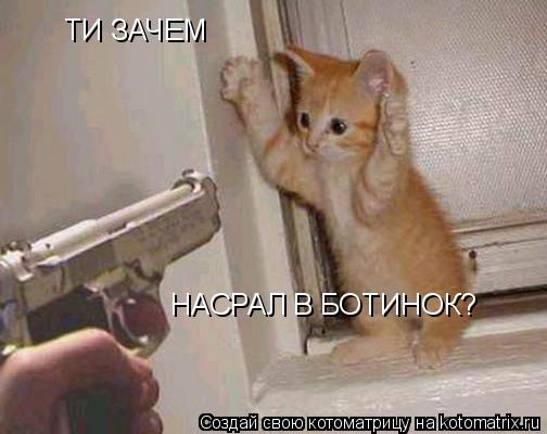 Котоматрица: ТИ ЗАЧЕМ НАСРАЛ В БОТИНОК?