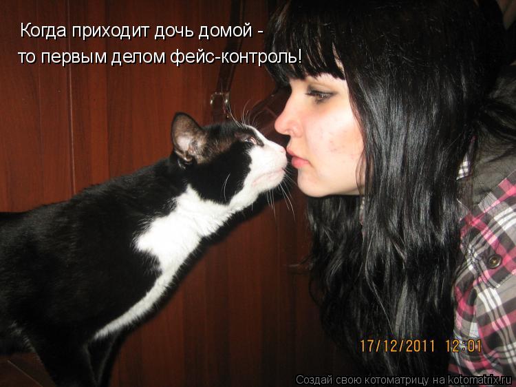 Котоматрица: Когда приходит дочь домой - то первым делом фейс-контроль!