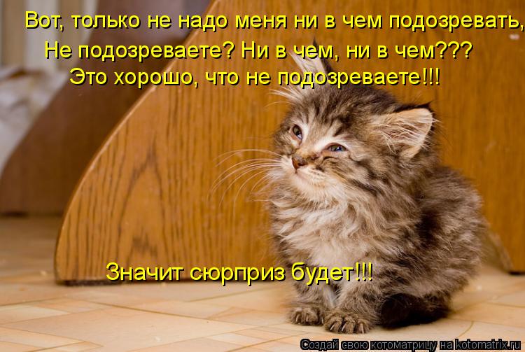Котоматрица: Вот, только не надо меня ни в чем подозревать, Не подозреваете? Ни в чем, ни в чем??? Значит сюрприз будет!!! Это хорошо, что не подозреваете!!!