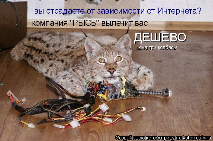Котоматрица: вы страдаете от зависимости от Интернета? ДЕШЕВО компания "РЫСЬ" вылечит вас цена три колбасы