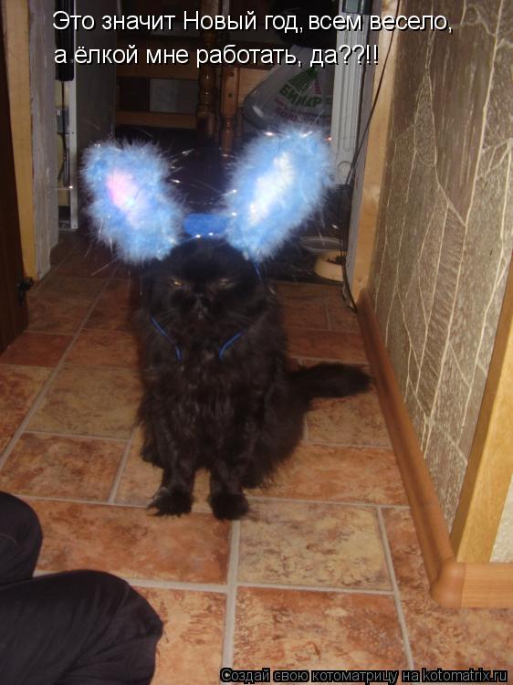 Котоматрица: Это значит Новый год, а ёлкой мне работать, да??!! Это значит Новый год, а ёлкой мне работать, да??!! всем весело,