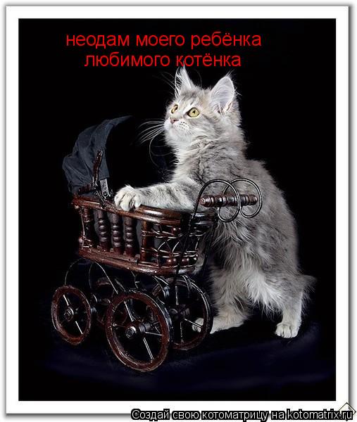 Котоматрица: неодам моего ребёнка любимого котёнка