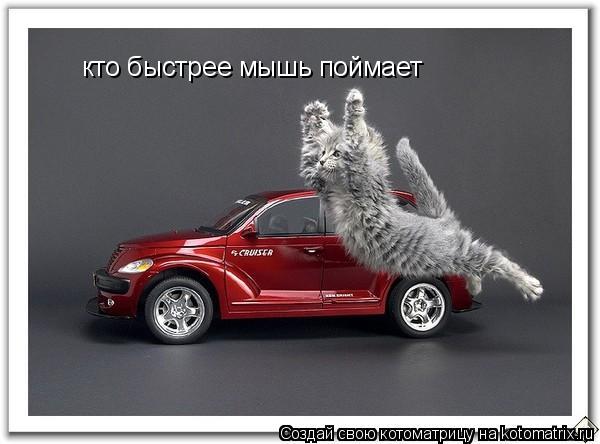 Котоматрица: кто быстрее мышь поймает