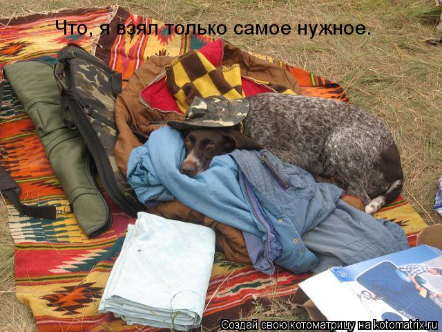 Котоматрица: Что, я взял только самое нужное.