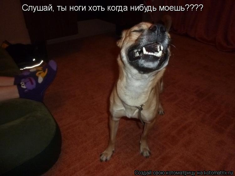 Котоматрица: Слушай, ты ноги хоть когда нибудь моешь????