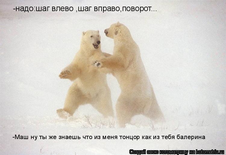 Котоматрица: -надо:шаг влево ,шаг вправо,поворот... -Маш ну ты же знаешь что из меня тонцор как из тебя балерина