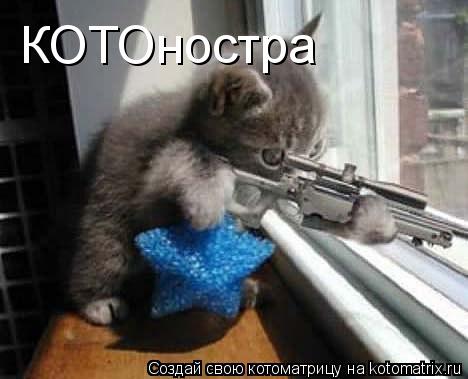Котоматрица: КОТОностра