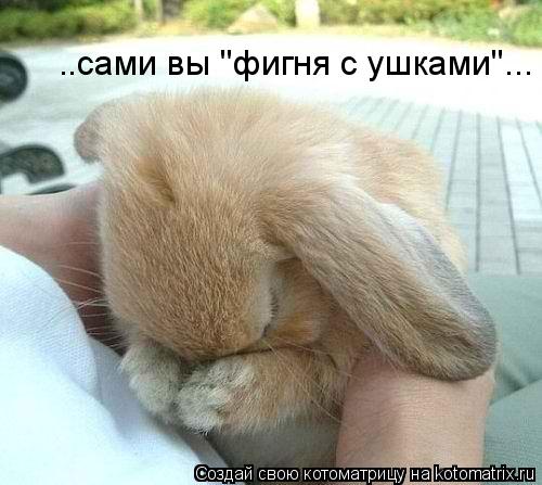 Котоматрица: ..сами вы "фигня с ушками"...