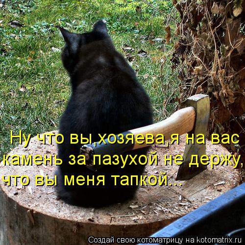 Котоматрица: Ну что вы,хозяева,я на вас камень за пазухой не держу, что вы меня тапкой...