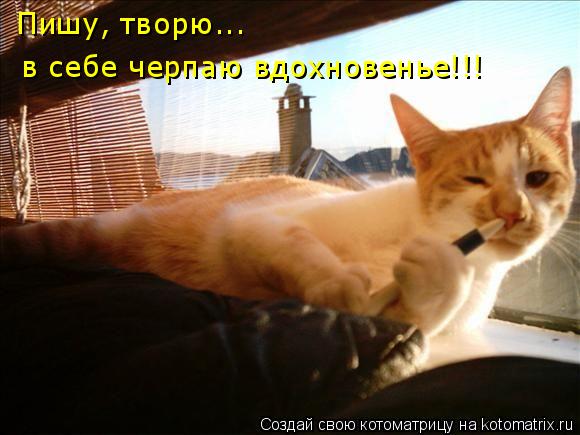 в себе черпаю вдохновенье!!! Пишу, творю...... Котоматрица: в себе черпаю вдохновенье!!! Пишу, творю...