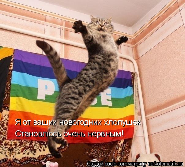 Я от ваших новогодних хлопушек Становлюсь очень нервным!... Котоматрица: Я от ваших новогодних хлопушек Становлюсь очень нервным!