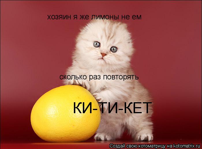 хозяин я же лимоны не ем сколько раз повторять КИ-ТИ-КЕТ... Котоматрица: хозяин я же лимоны не ем сколько раз повторять КИ-ТИ-КЕТ