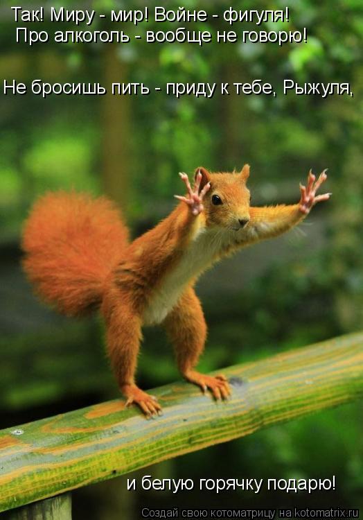 Про алкоголь - вообще не говорю! Не бросишь пить - приду к тебе, Рыжуля, и белую горячку подарю! Так... Котоматрица: Про алкоголь - вообще не говорю! Не бросишь пить - приду к тебе, Рыжуля, и белую горячку подарю! Так! Миру - мир! Войне - фигуля!